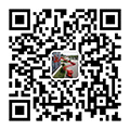 技術(shù)咨詢